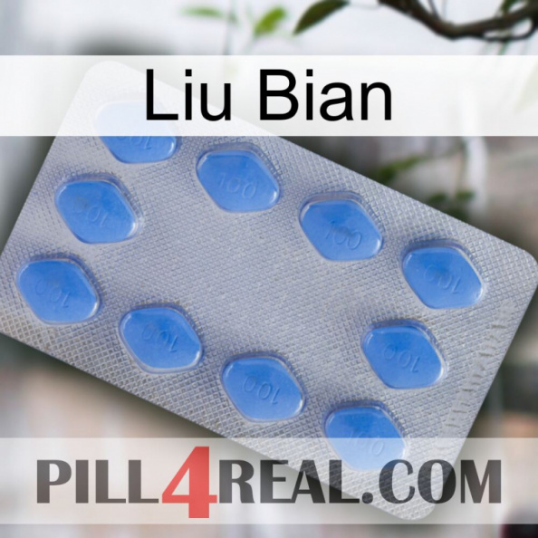 Liu Bian 21.jpg